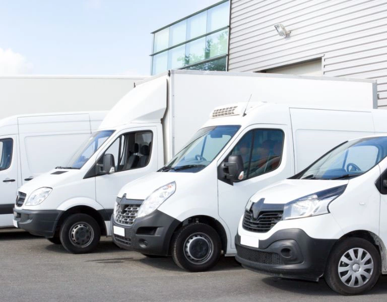 New 10 frigo vans have already joined the Transtone family